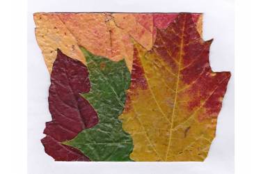 Autumn Leaves, crafted with real leaves