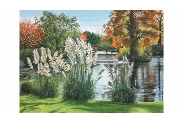 Autumn at Wakehurst Place 