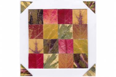 Autumn Leaves 