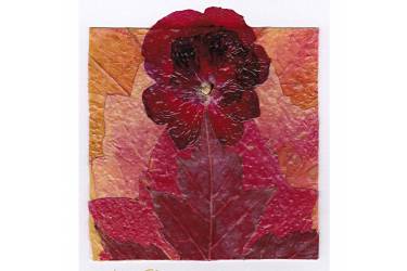 Autumn Leaves with Geranium flower