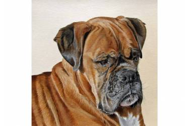 Dexter