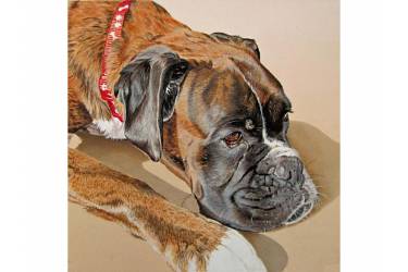 Bertie 