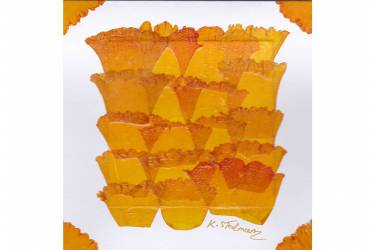 Daffodil Flower Petals