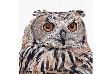 Eagle Owl