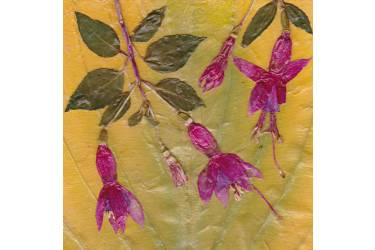 Fuchsia on Hosta Leaf, Sold