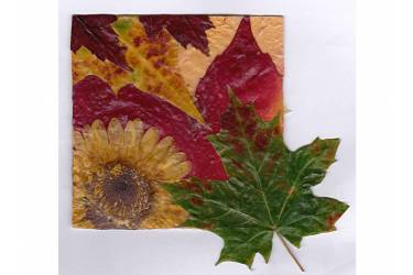 Gerbera and Leaves, Sold