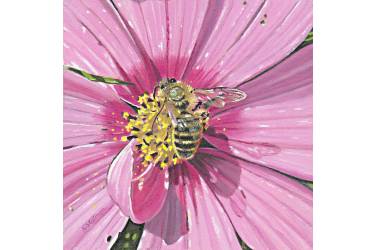Honeybee