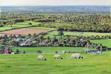 View towards Ditchling, Sussex