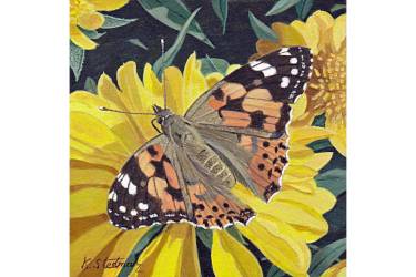 Painted Lady Butterfly