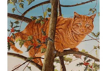 Tree Cat