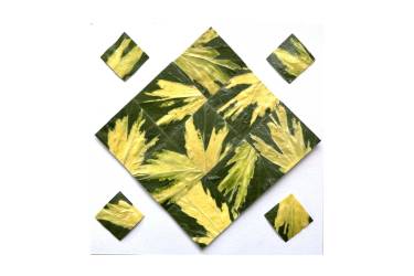 Ivy Leaves