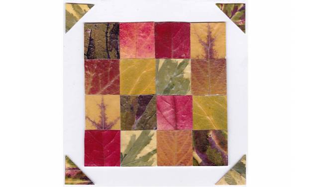 Autumn Leaves 