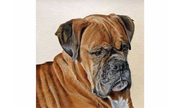 Dexter