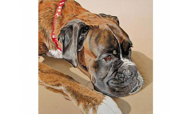 Bertie 
