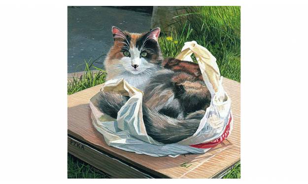 Cat in the Bag