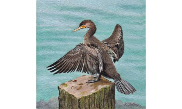 CormorantSold