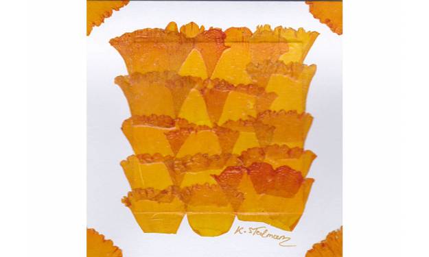 Daffodil Flower Petals