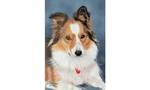 Dasher 