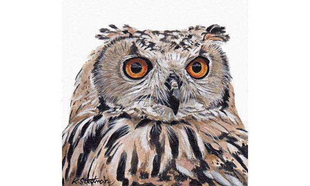 Eagle Owl