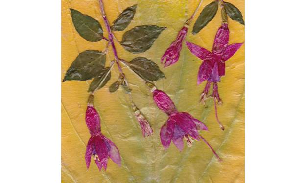 Fuchsia on Hosta Leaf, Sold