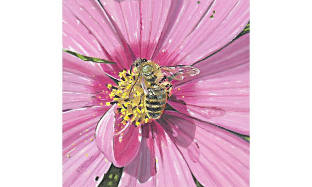 Honeybee
