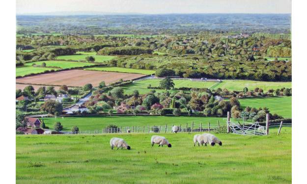 View towards Ditchling, Sussex