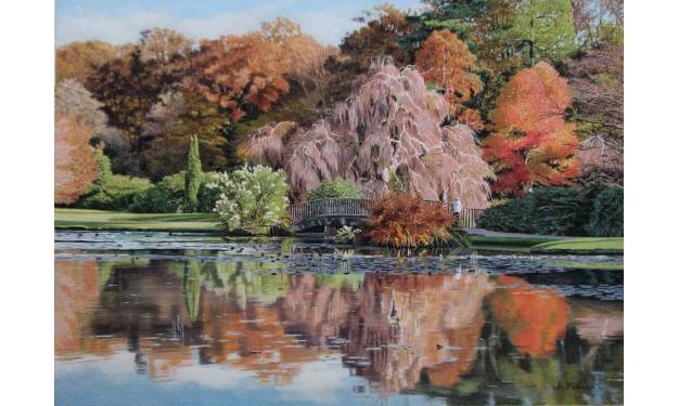 Autumn at Sheffield Park Gardens