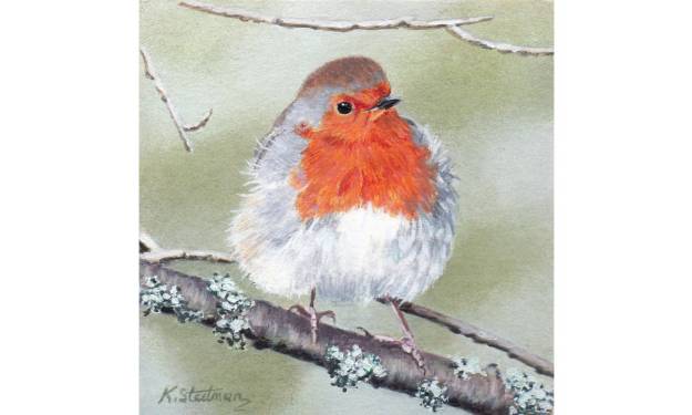 Robin Redbreast