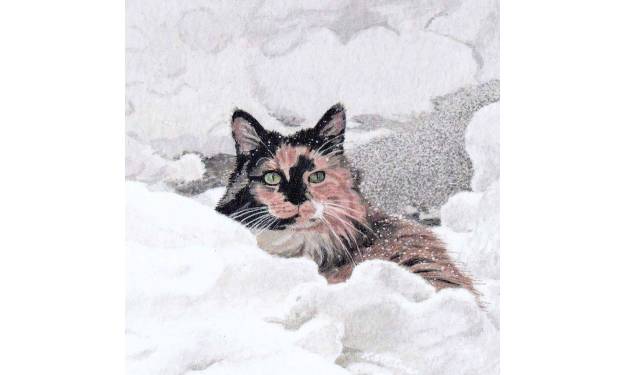 Snow Cat