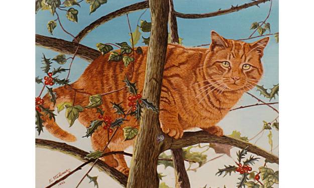 Tree Cat