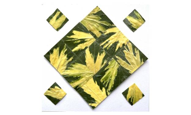 Ivy Leaves